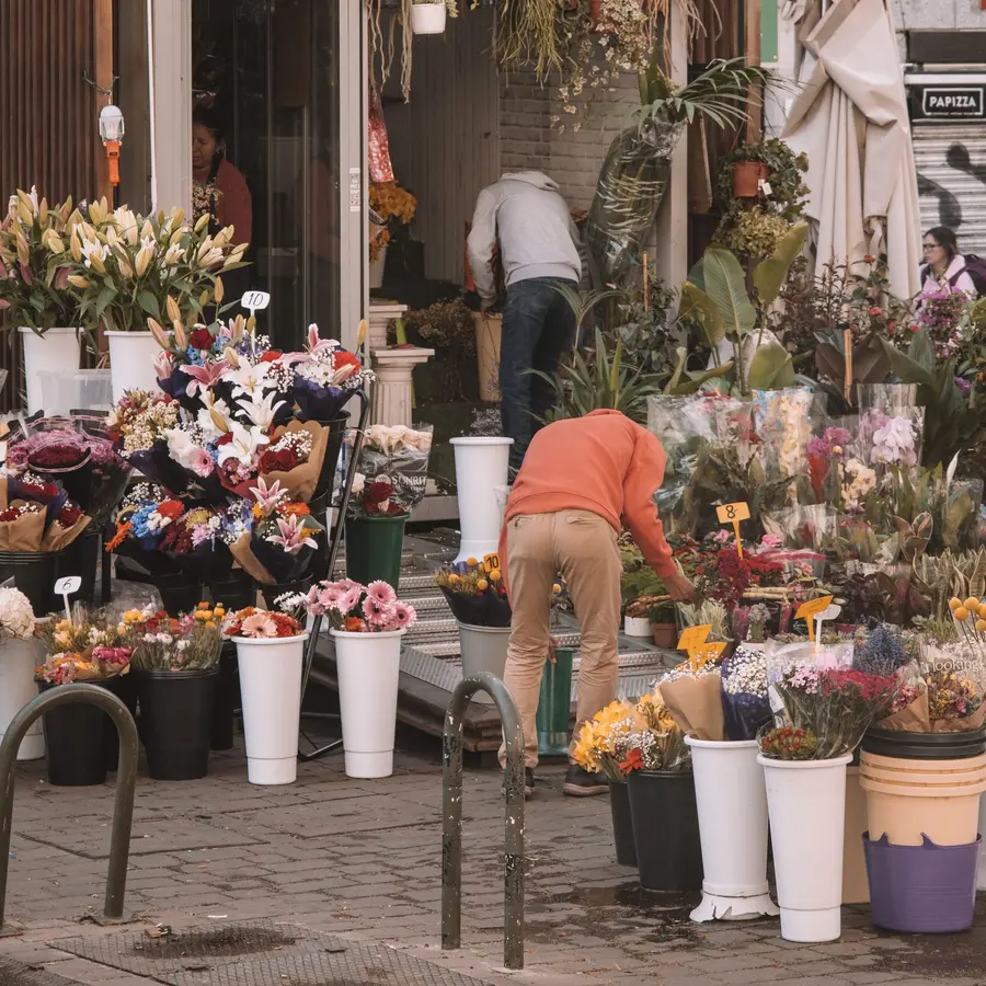 Flores Abanqueiro 1
