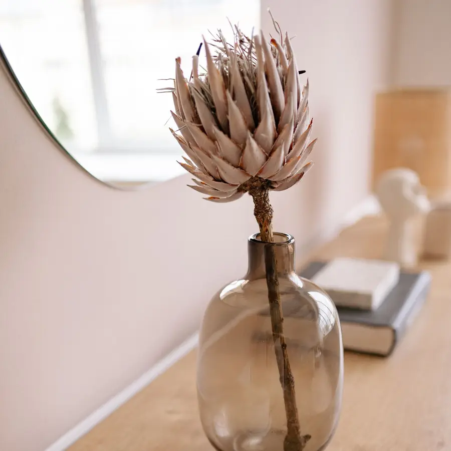 Lar Decor 3