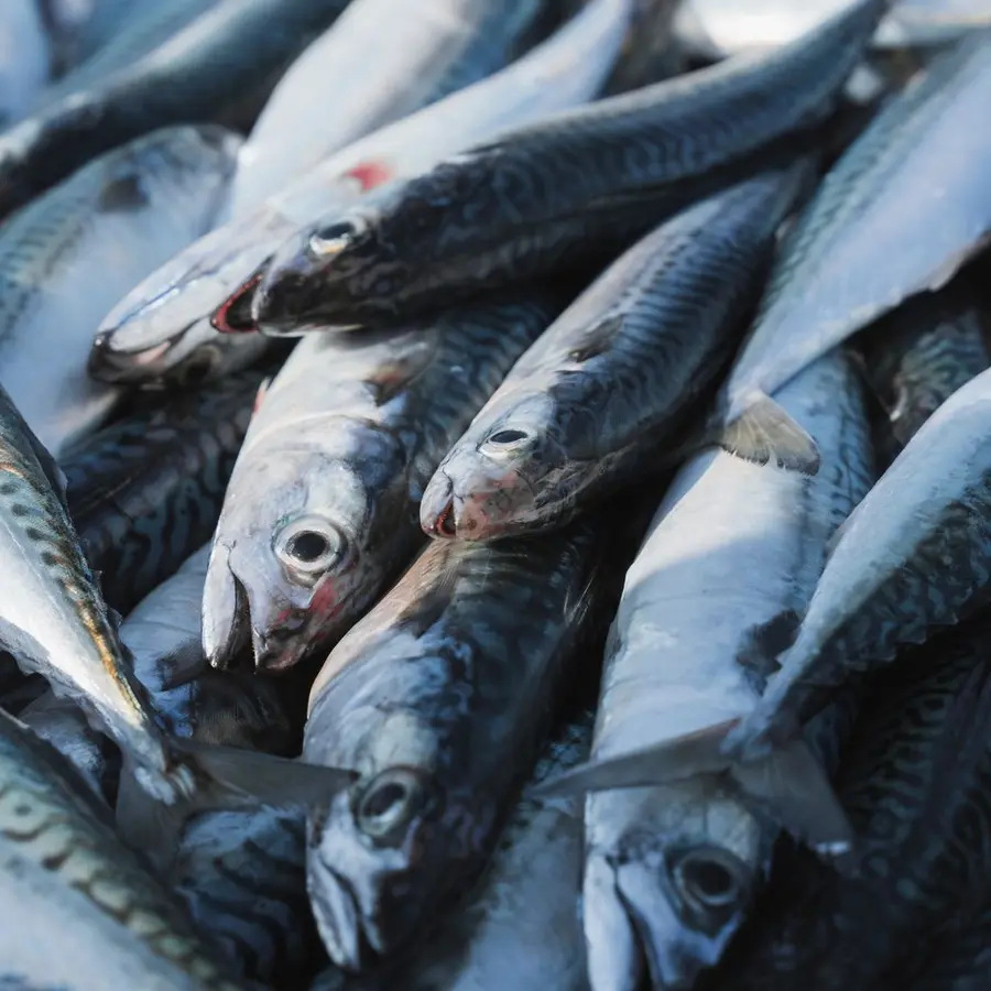 Bacalao desalado (kg)